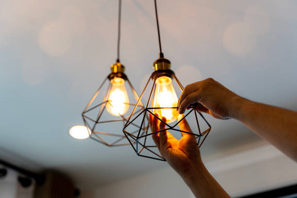 Best Electric Panel Repair  in Burlington, IA